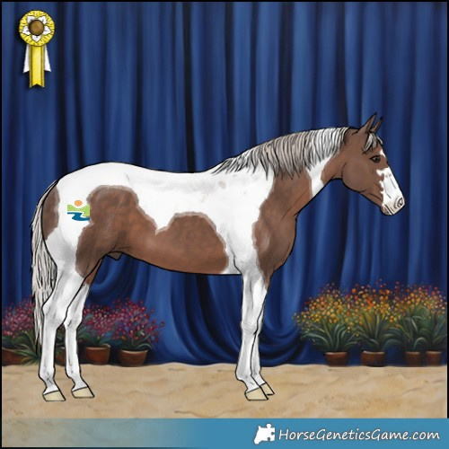 Horse Color:Silver Black Tobiano 