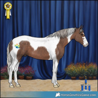 Horse Color:Silver Black Tobiano