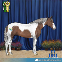 Horse Color:Silver Black Tobiano
