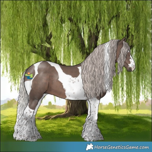 Horse Color:Silver Black Tobiano
