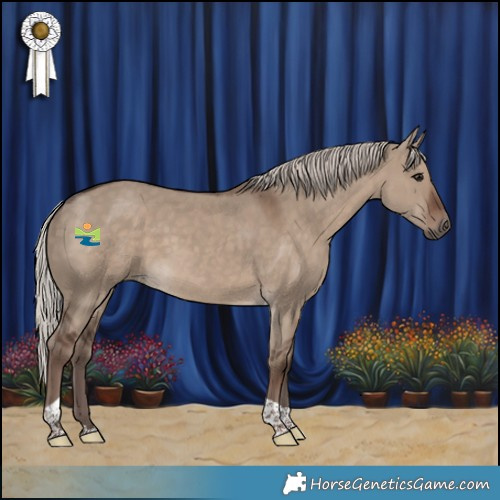 Horse Color:Silver Grullo Tobiano 