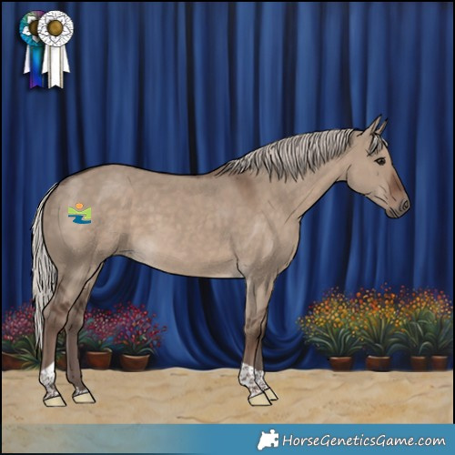 Horse Color:Silver Grullo Tobiano