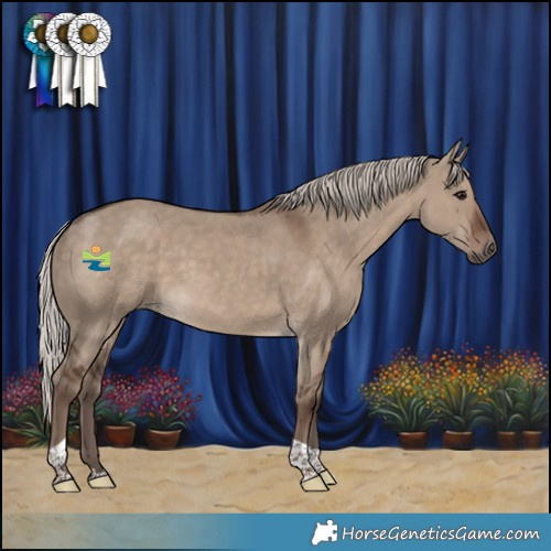 Horse Color:Silver Grullo Tobiano