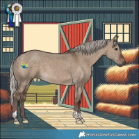 Horse Color:Silver Grullo Tobiano