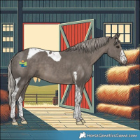 Horse Color:Silver Black Tobiano 