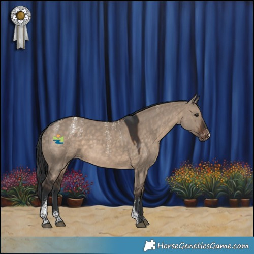 Horse Color:Powder White Brown Dun Appaloosa 