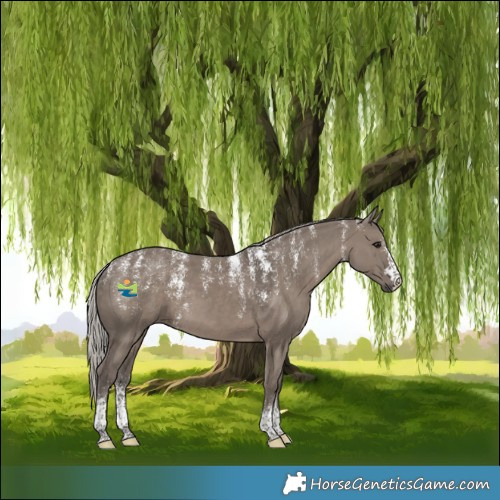 Horse Color:Powder White Silver Grullo