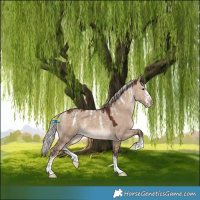 Horse Color:Powder White Silver Brown Dun 