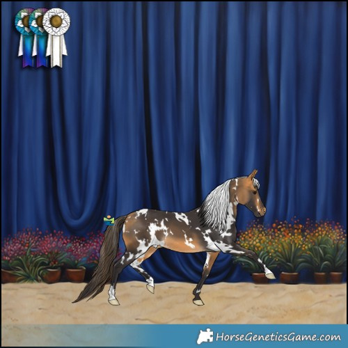 Horse Color:White Spotted Buckskin 