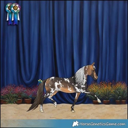 Horse Color:White Spotted Buckskin