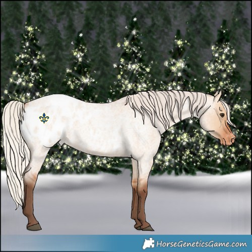 Horse Color:Silver Bay Roan Dun Blanket