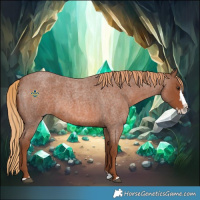 Horse Color:Red Roan Splash 