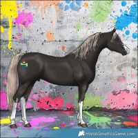 Horse Color:White Spotted Liver Chestnut Mushroom 