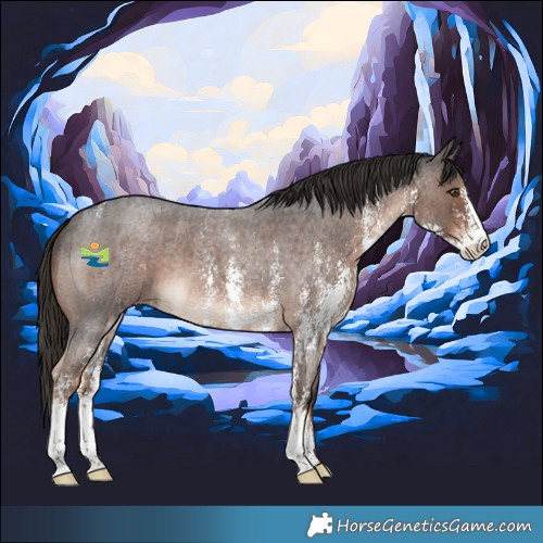 Horse Color:Liver Red Roan Sabino 