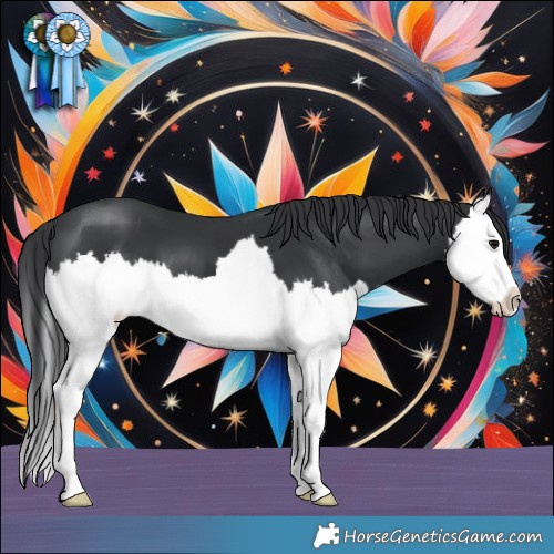 Horse Color:Black Splash 