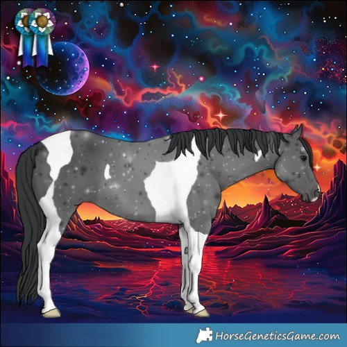 Horse Color:Black Tobiano 