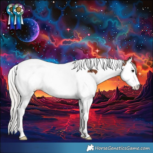 Horse Color:Silver Black Splash Tobiano
