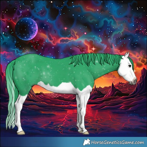 Horse Color:Gray Watercolor Smoky Black Splash 