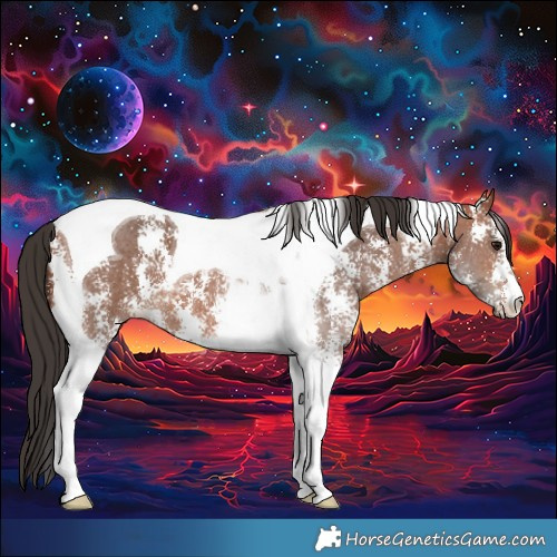 Horse Color:Bay Sabino Tobiano