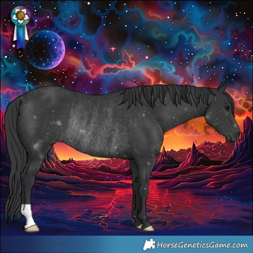 Horse Color:Black Rabicano