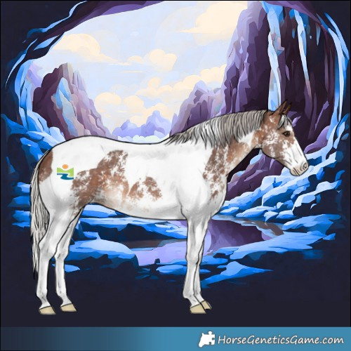 Horse Color:Silver Brown Sabino Tobiano 