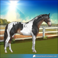 Horse Color:Gray Liver Chestnut Tobiano Varnish 