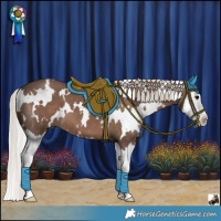 Horse Color:White Spotted Silver Black Splash