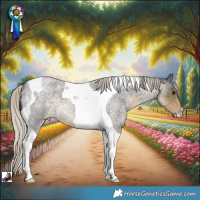 Horse Color:Silver Smoky Blue Roan Tobiano