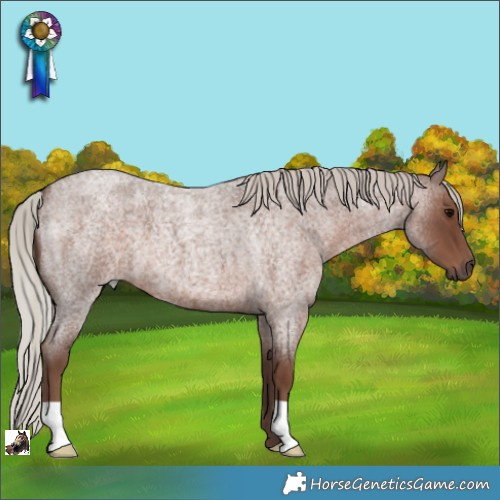 Horse Color:Silver Blue Roan