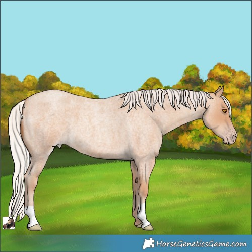 Horse Color:Silver Classic Champagne Roan