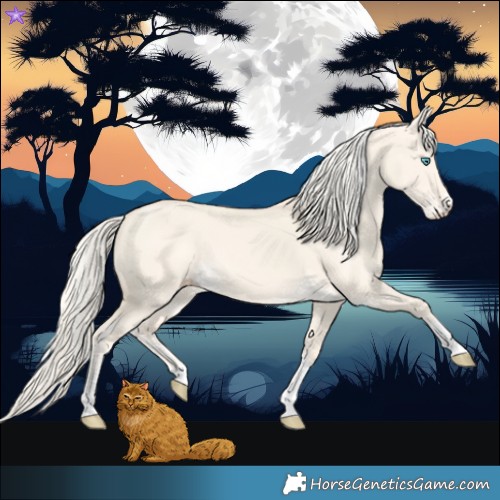Horse Color:Cremello Dun Tobiano 
