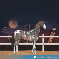 Horse Color:Brown Sabino Skewed LP Spotted 