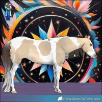 Horse Color:Buckskin Dun Splash Tobiano Rabicano 
