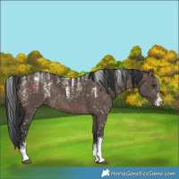 Horse Color:Powder White Brown Dun Skewed LP Spotted