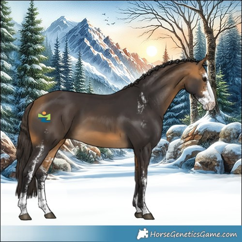 Horse Color:Buckskin Sabino Rabicano 