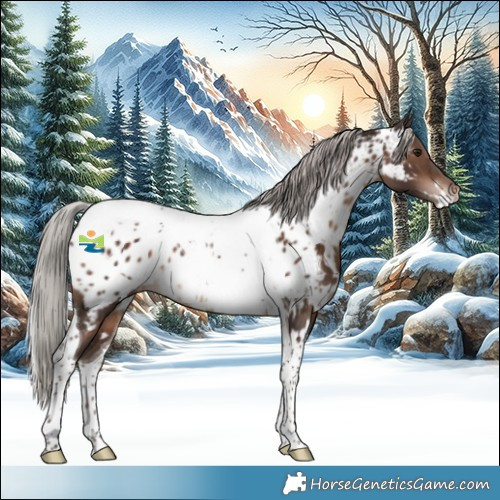 Horse Color:White Spotted Silver Brown Tobiano Appaloosa Rabicano