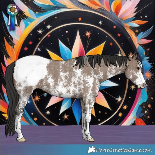Horse Color:Liver Red Dun Sabino Appaloosa Brindle