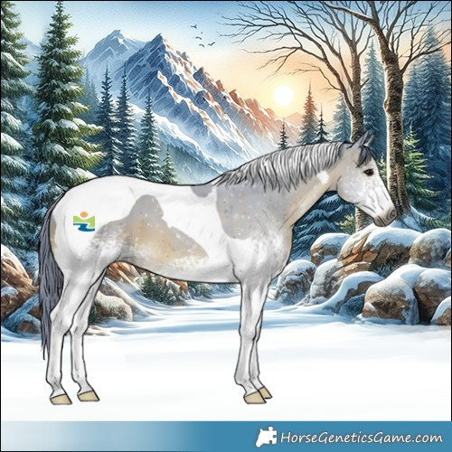 Horse Color:Gray Watercolor White Spotted Brown Tobiano 