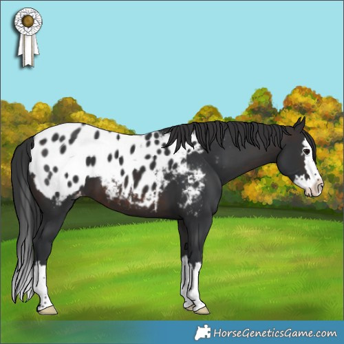 Horse Color:Brown Splash Blanket