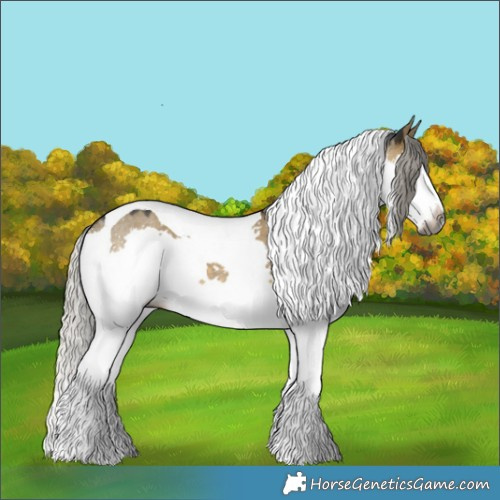 Horse Color:Gray Silver Buckskin Dun Splash Tobiano 