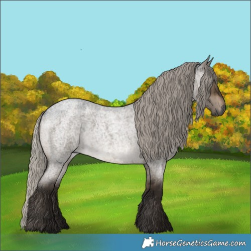 Horse Color:Gray Silver Brown Roan Dun Brindle 