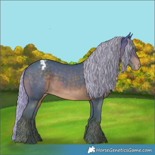 Horse Color:Watercolor Silver Brown Appaloosa 