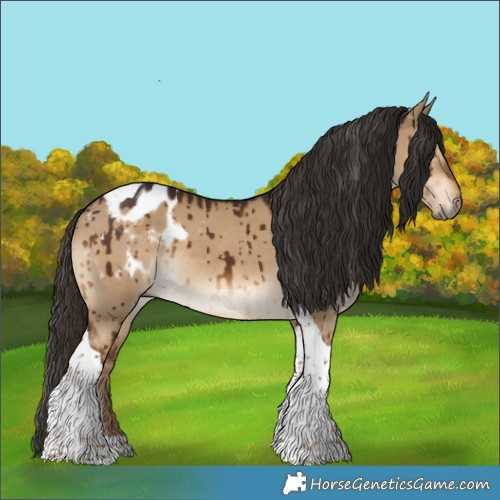 Horse Color:Gray Liver Red Dun Tobiano Appaloosa Brindle 