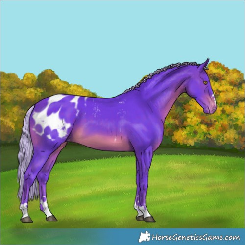 Horse Color:Watercolor Silver Brown Blanket 