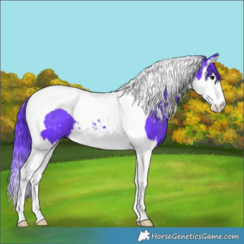 Horse Color:Watercolor Black Splash Tobiano