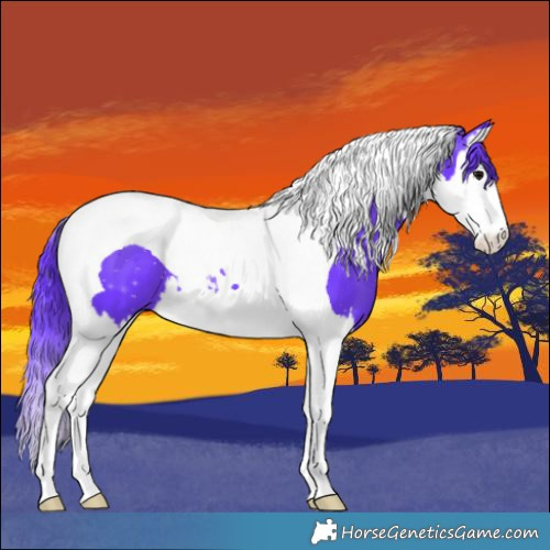 Horse Color:Watercolor Black Splash Tobiano 