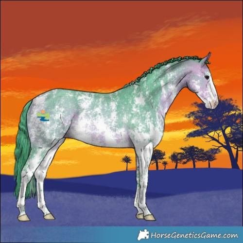 Horse Color:Watercolor Buckskin Sabino Rabicano 