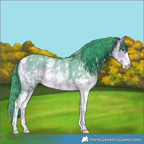 Horse Color:Watercolor Buckskin Sabino Rabicano 