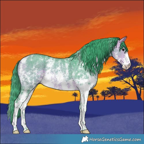 Horse Color:Watercolor Buckskin Sabino Rabicano