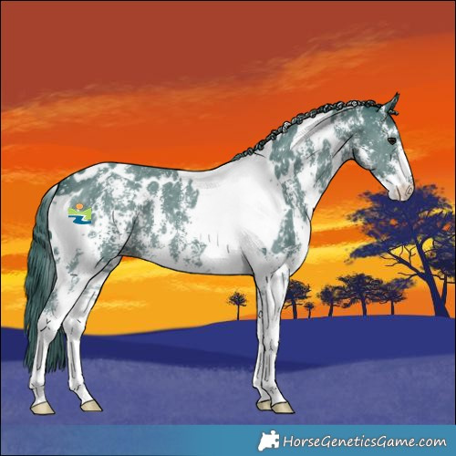 Horse Color:Watercolor White Spotted Black Sabino 